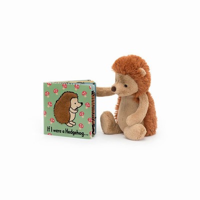 Jellycat If I Were A Erizo Board and Bashful Erizo Medium | HERF-49782